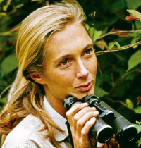 Foto da Jane Goodall