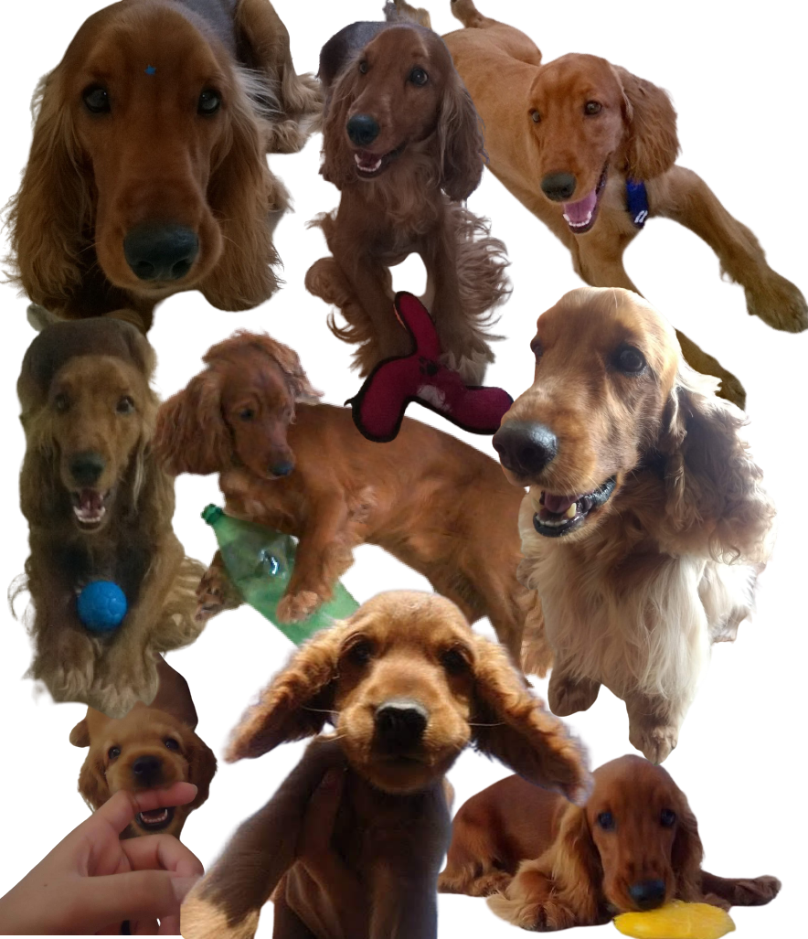 Menina segurando o globo