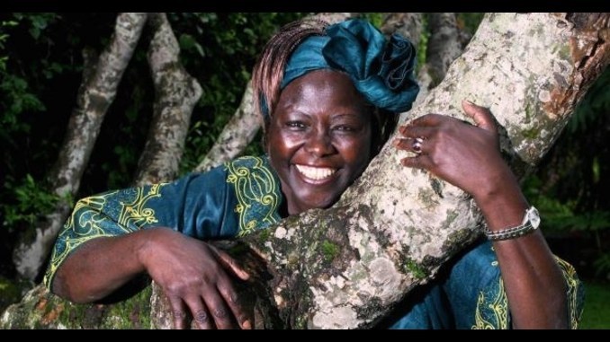 wangari-maathai abraçando tronco