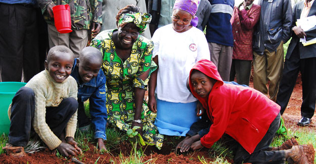 wangari-maathai abraçando tronco